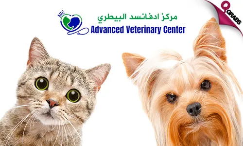 Pet Grooming for Dogs & Cats at Advanced Veterinary Center!